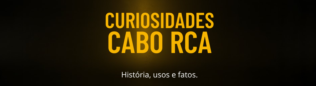 Curiosidades do dddd