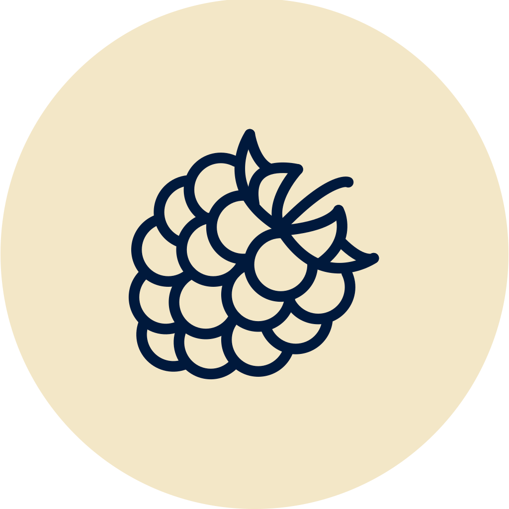 Framboesa