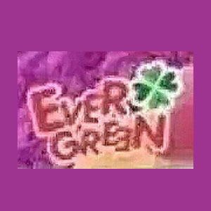 Ever Green