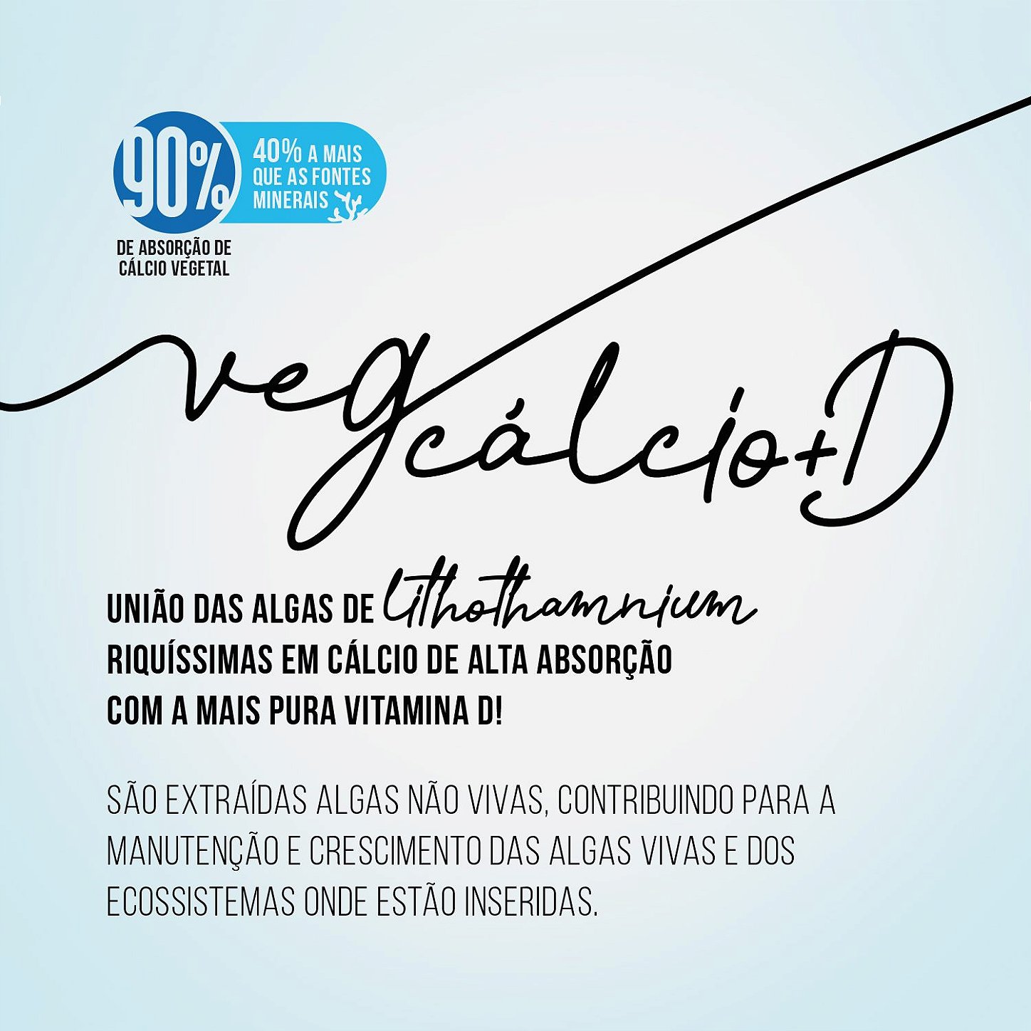 VegCálcio+D Leatt: cálcio vegetal da alga Lithothamnium com vitamina D