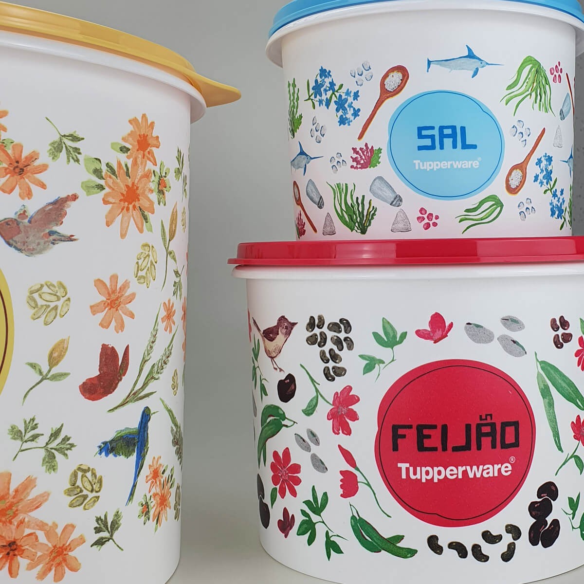 Kit Tupperware Mantimentos Caixa Floral 5 peças - Comprar