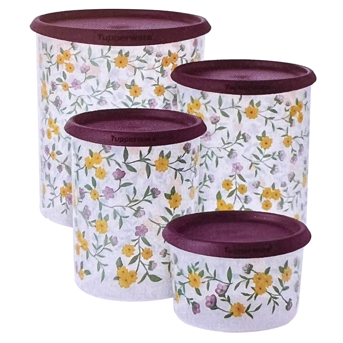 Kit Tupperware Instantânea Mágica Desabrochar 4 peças - Comprar
