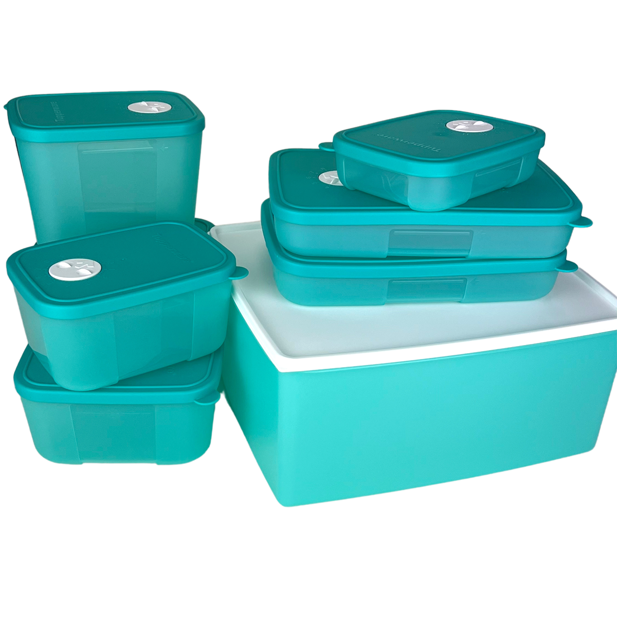 Kit Tupperware PDA 10/2024 Freezertime 8 peças - Comprar