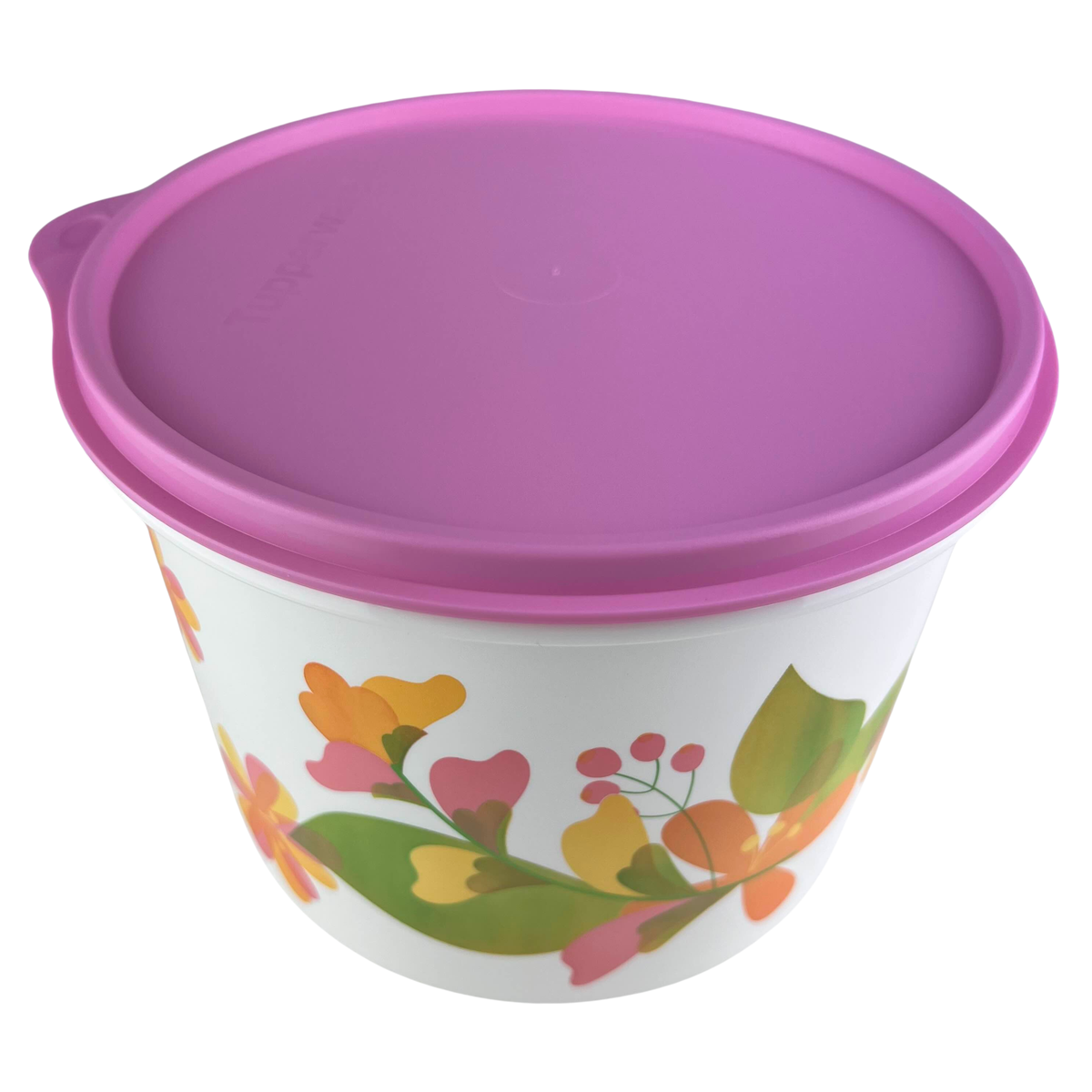 Tupperware Caixa 2,4 Litros Florida - Comprar Tupperware Online
