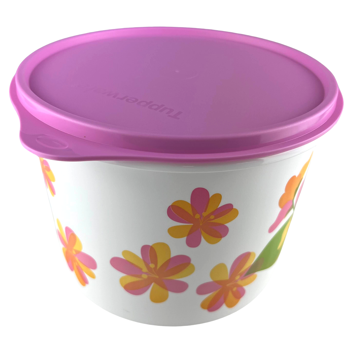 Tupperware Caixa 2,4 Litros Florida - Comprar Tupperware Online
