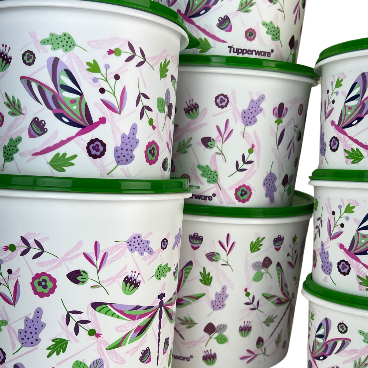 Kit Tupperware PDA 02/2025 Libélulas 8 peças - Comprar Tupperware ...