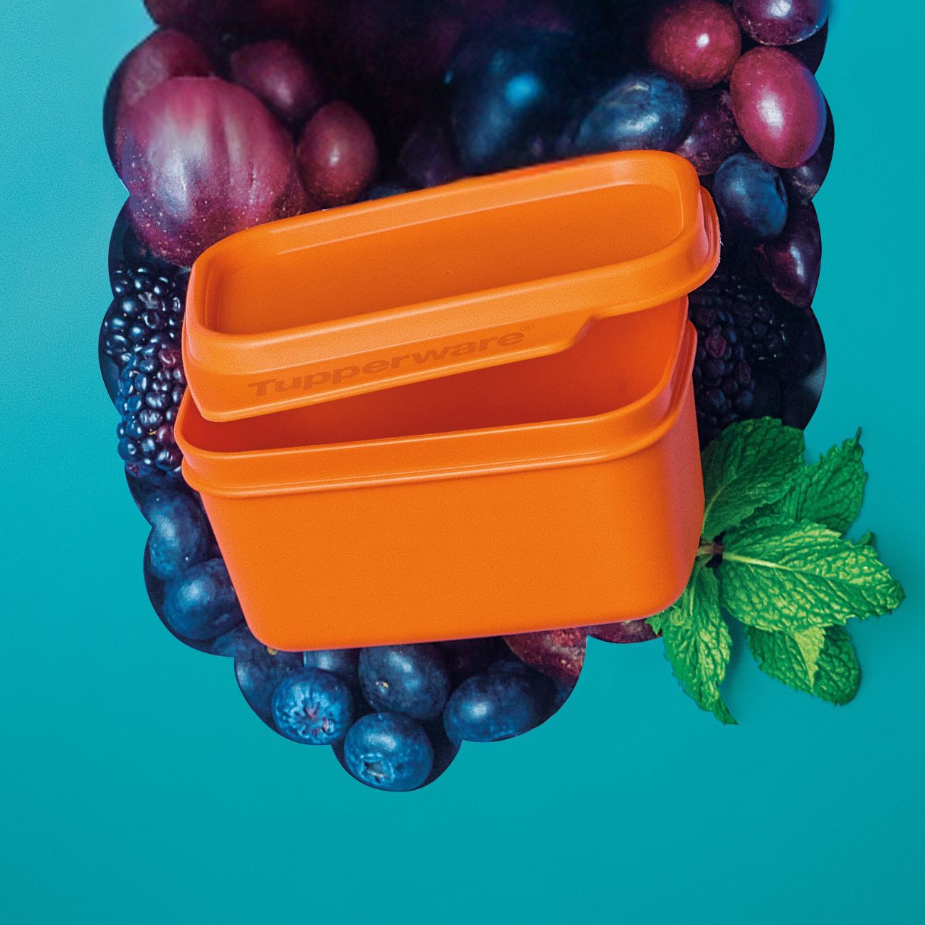 Tupperware Limon Tupperware Basic Line 160ml Limão Cravo - Comprar Tupperware Online ...
