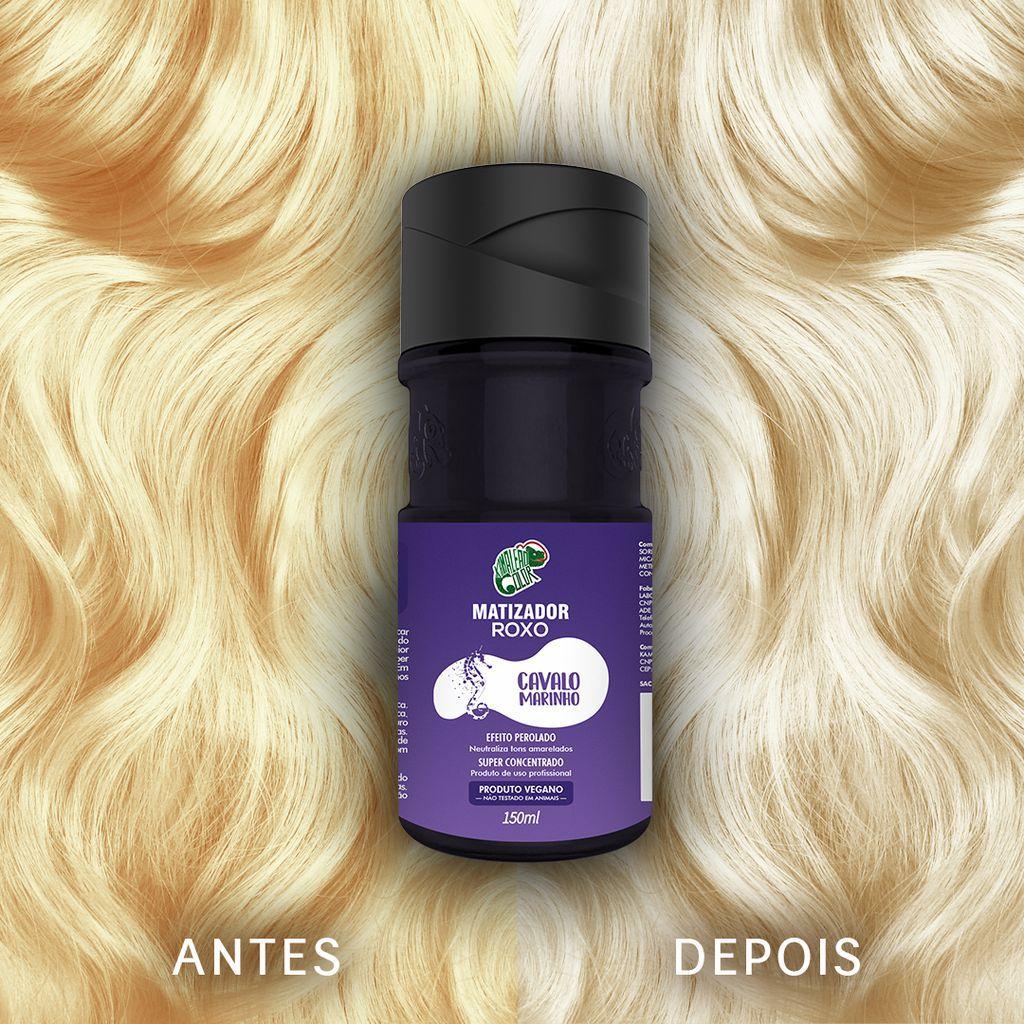 Matizador Roxo Cavalo Marinho Efeito Perolado 150ml - Kamaleão Color ...