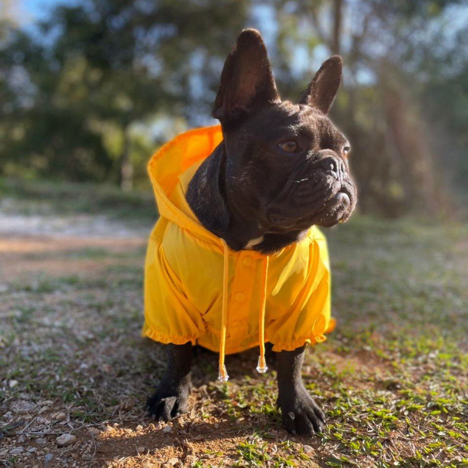 Capa de Chuva para Cachorros Amarelo | Bichinho Virtual - Bichinho Virtual