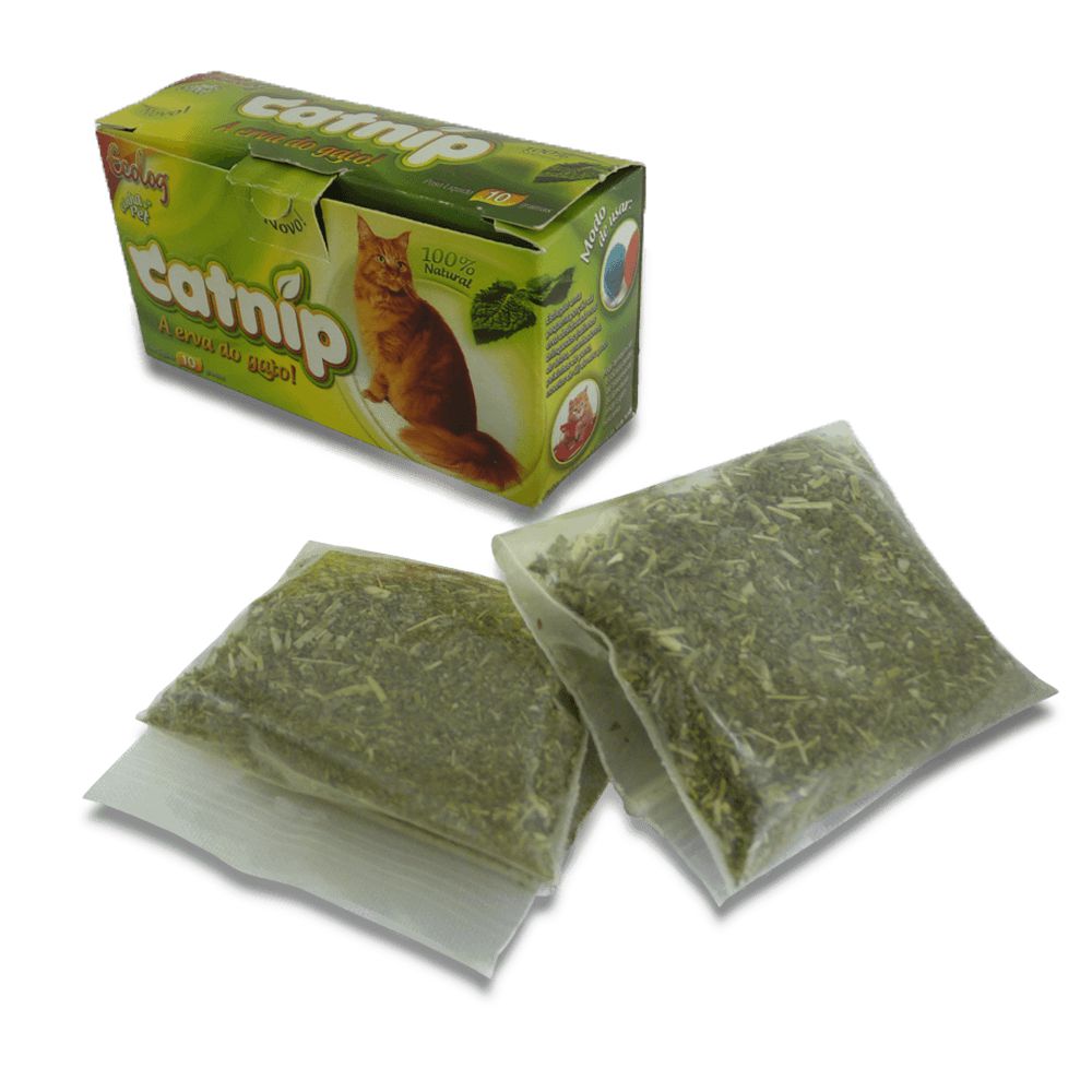 Caixa de Areia - Mundo Catnip