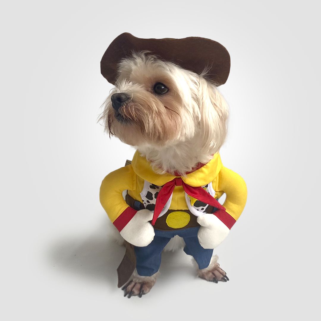 Fantasia para Cachorros Cowboy | Bichinho Virtual - Bichinho Virtual