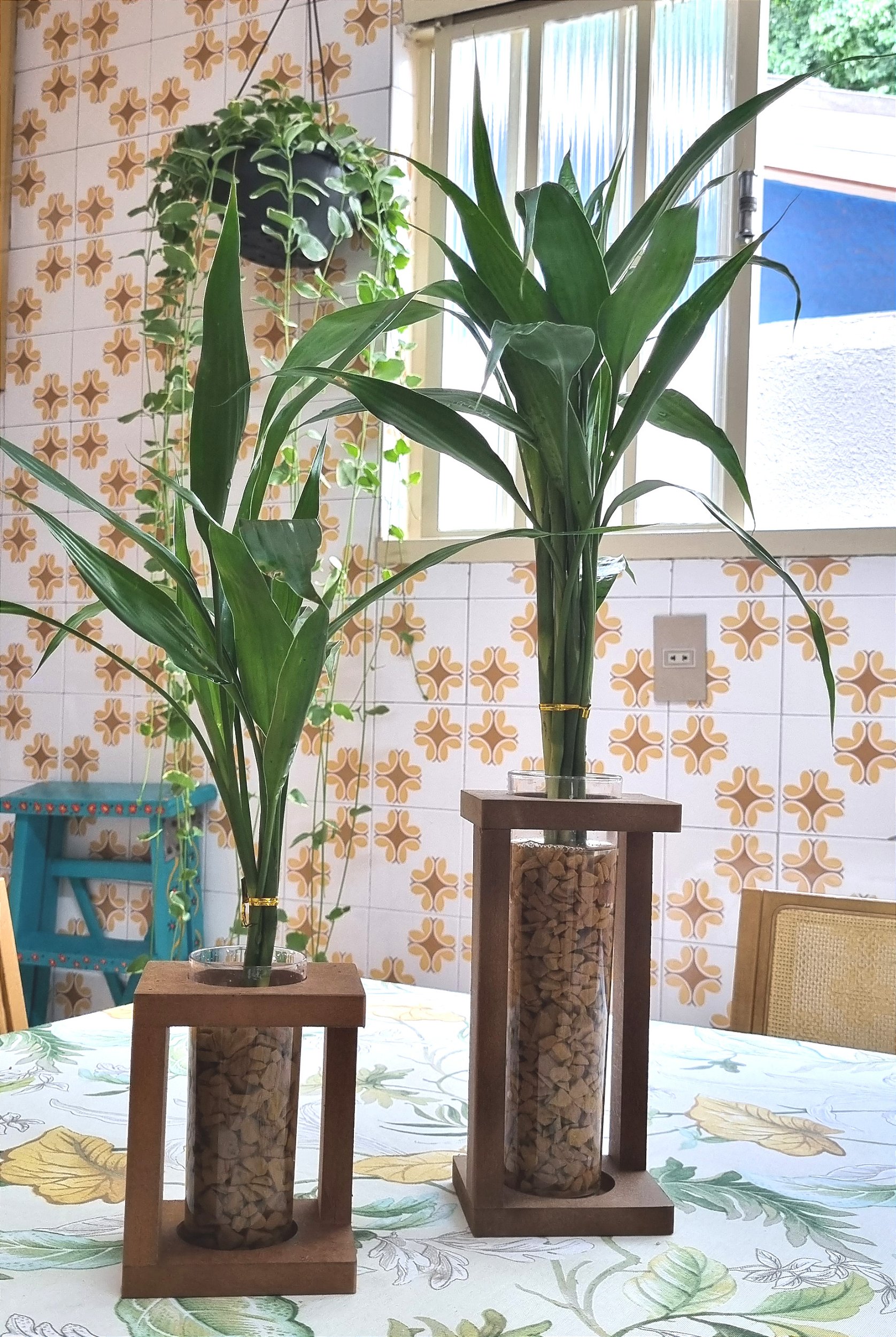 Conjunto de Vasos Rústicos em Madeira com Bambu da Sorte - Bambu da ...