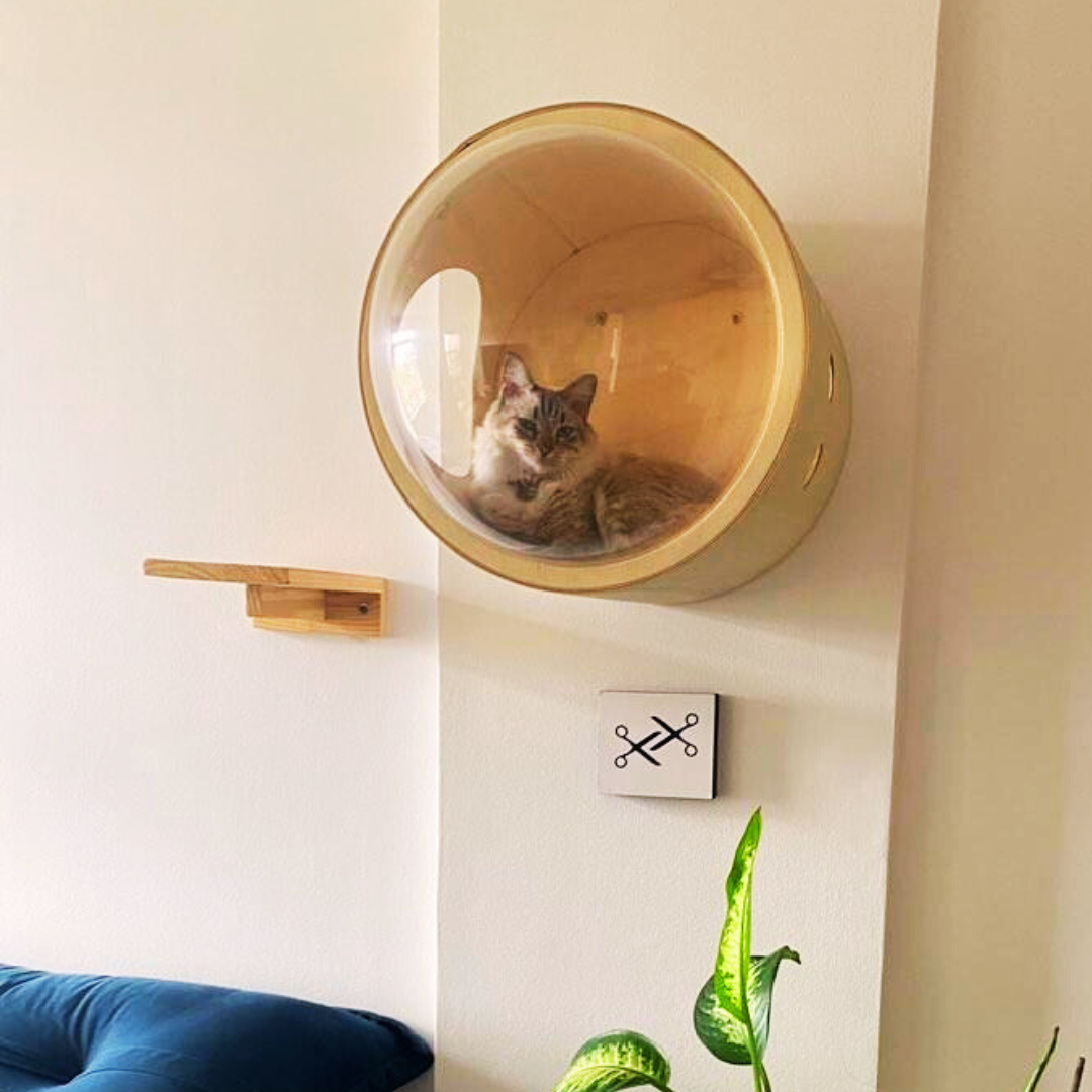 Cama De Gato Montada Na Parede - Cápsula Espacial Transparente Com Prateleiras - Árvore Para Gatos Grandes