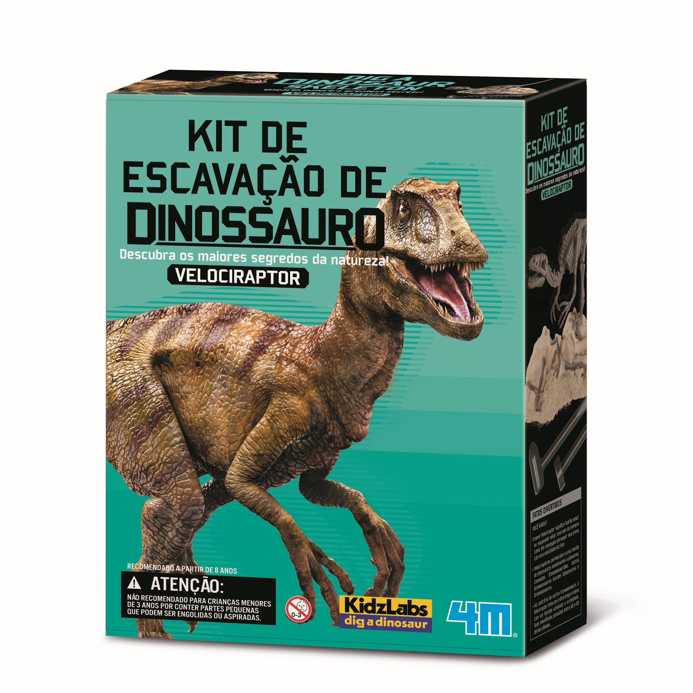 Dinossauro Velociraptor na Caixa