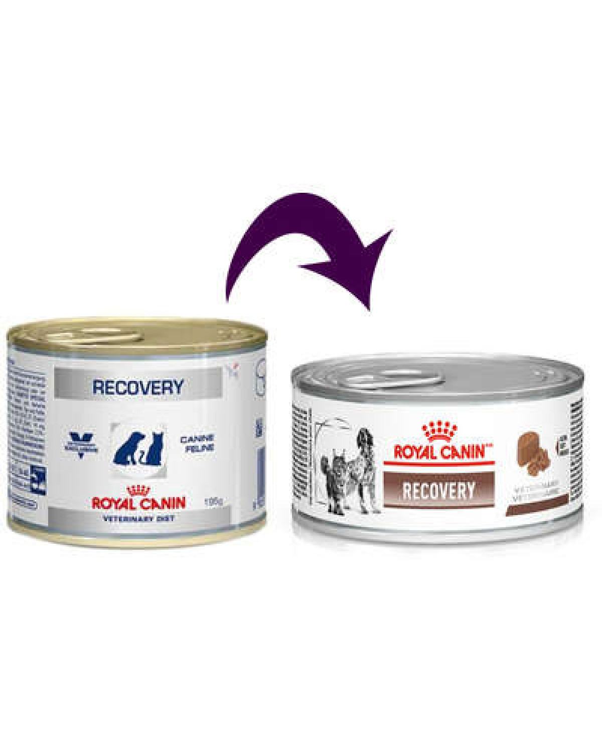 Alimento recovery royal canin online