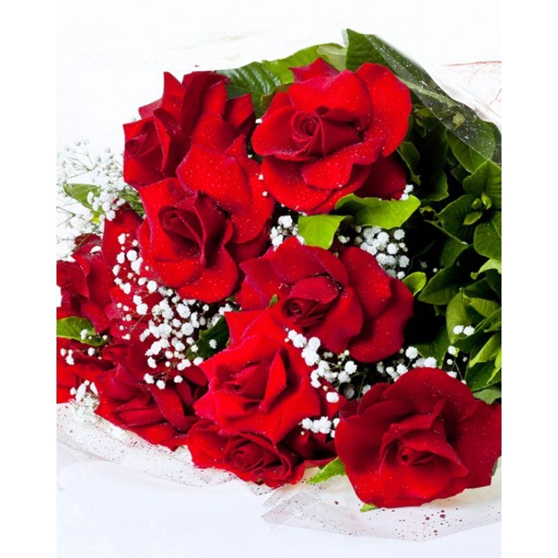 Buque 48 Rosas Colombianas Entrega Guarulhos e Região - Mariza Flores