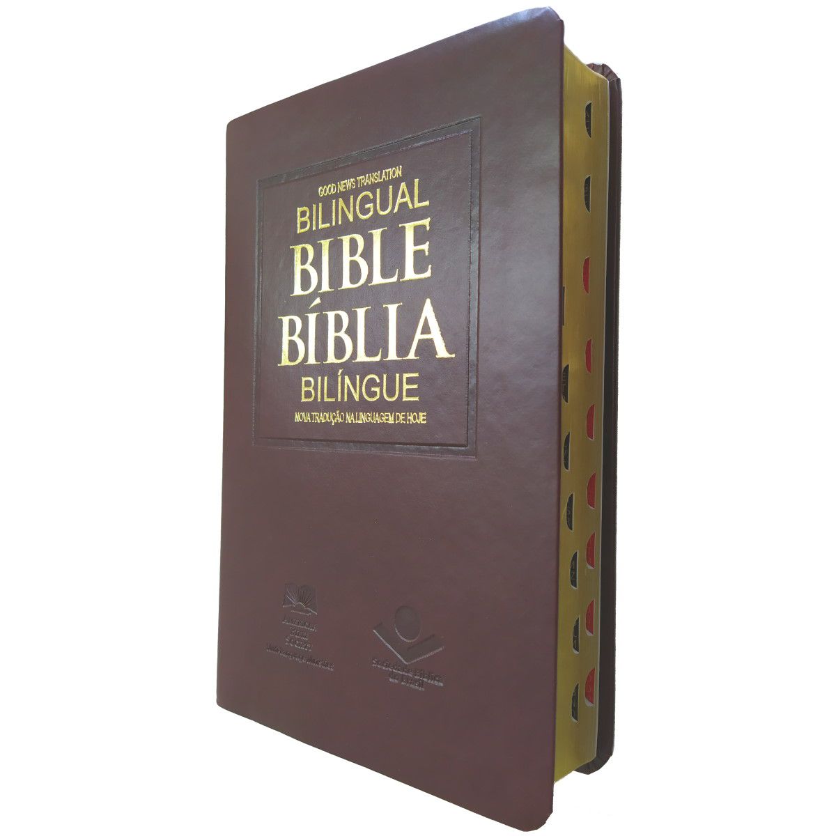 Bíblia Bilíngue Português – Inglês: Nova Tradução na Linguagem de Hoje  (NTLH), de Sociedade Bíblica do Brasil.