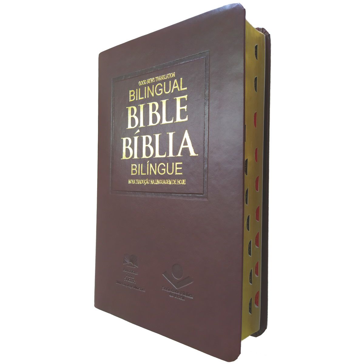 Bíblia Bilíngue Português – Inglês: Nova Tradução na Linguagem de Hoje  (NTLH)