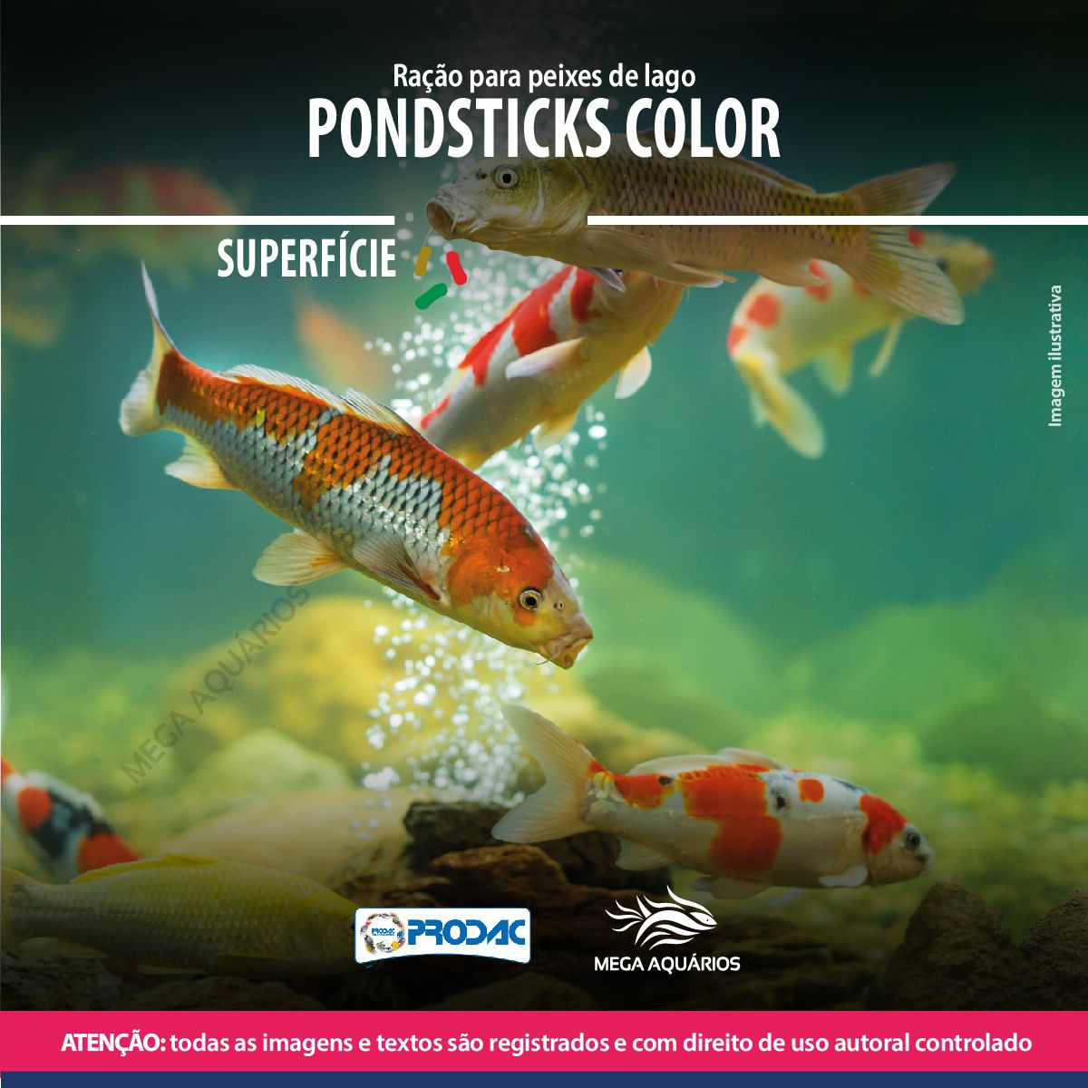 Ração peixes de lago Prodac PondSticks Color 7,5kg carpas - Mega Aquários