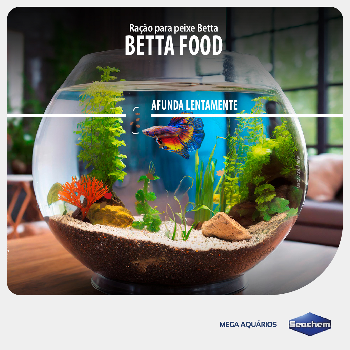 Kit ração Prodac Betta 40g + Seachem Betta Basics - Mega Aquários