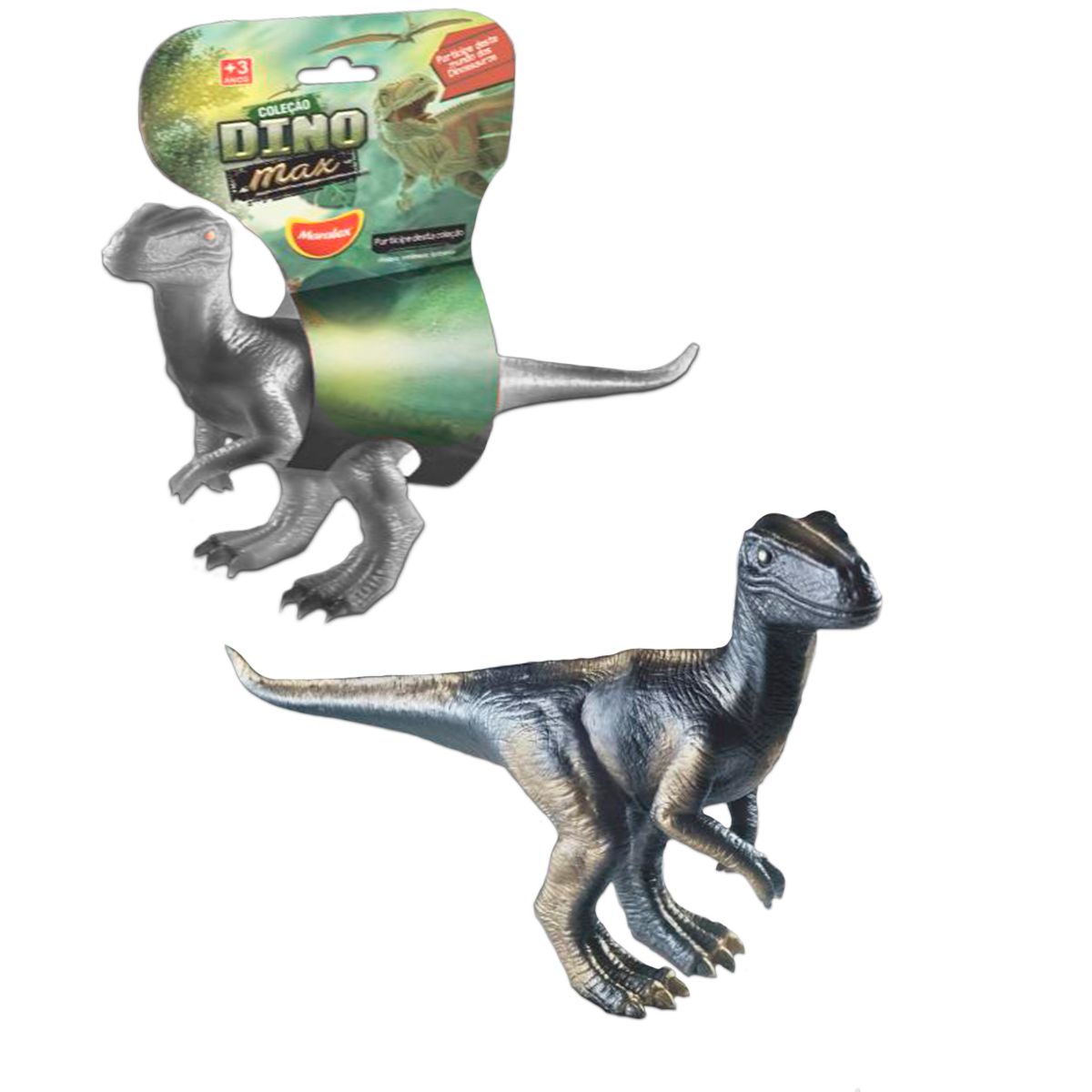 Dinossauro Velociraptor na Caixa