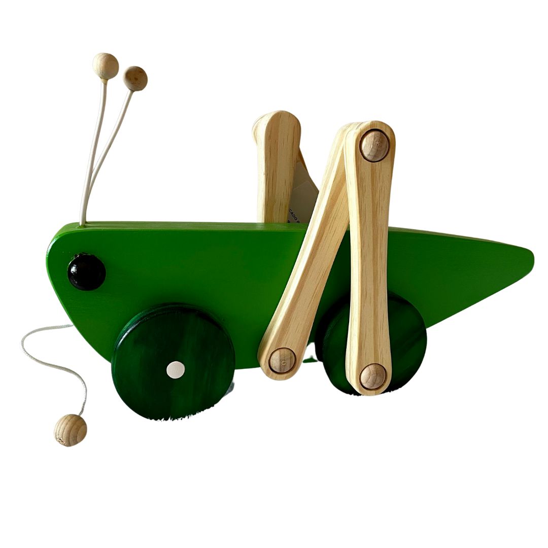 Carrinho movido por elástico - Brinquedo de Madeira - Ioiô de Pano  Brinquedos Educativos