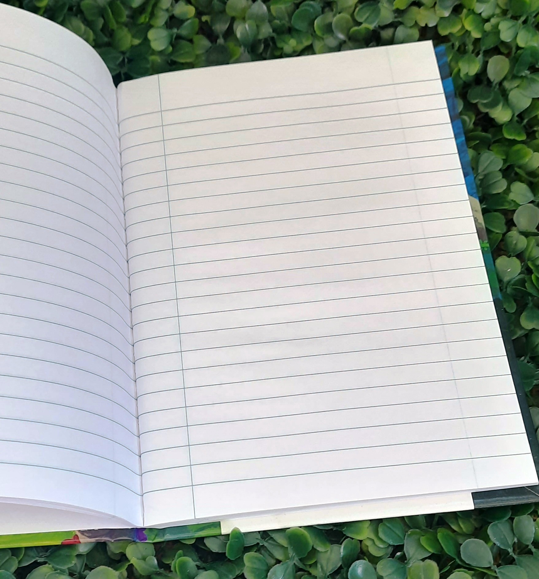 Caderno pequeno brochura (sem espiral) - 96 folhas - Super Dino ...