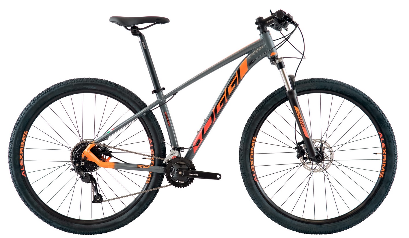 Praia grande mil grau - Bike First aro 29 Cor grafite Com nota