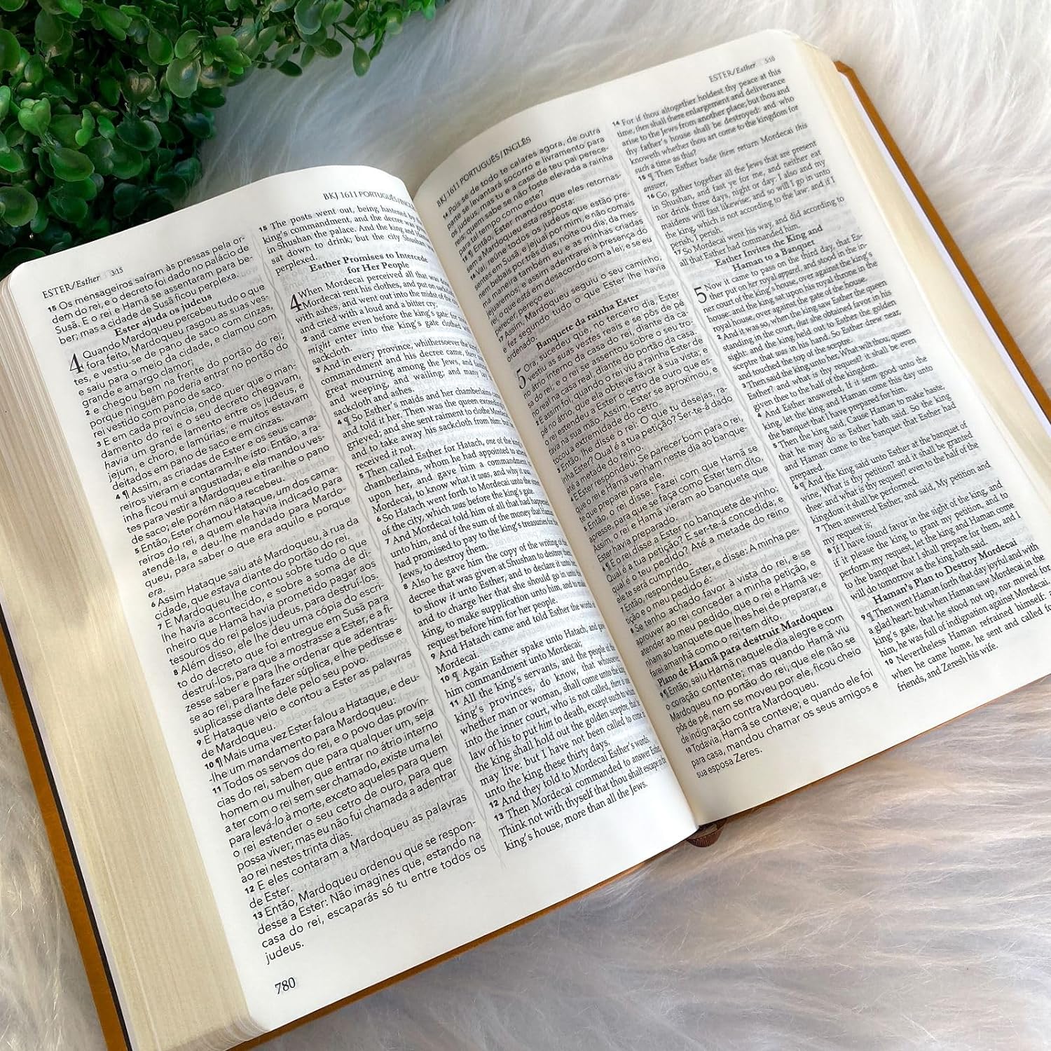 Os Livros Da Bíblia Em Inglês, Alemão, Espanhol, Francês E Russo – DJFOZM