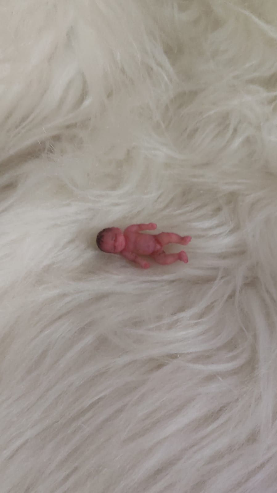 Bebê Reborn Silicone Realista Ana