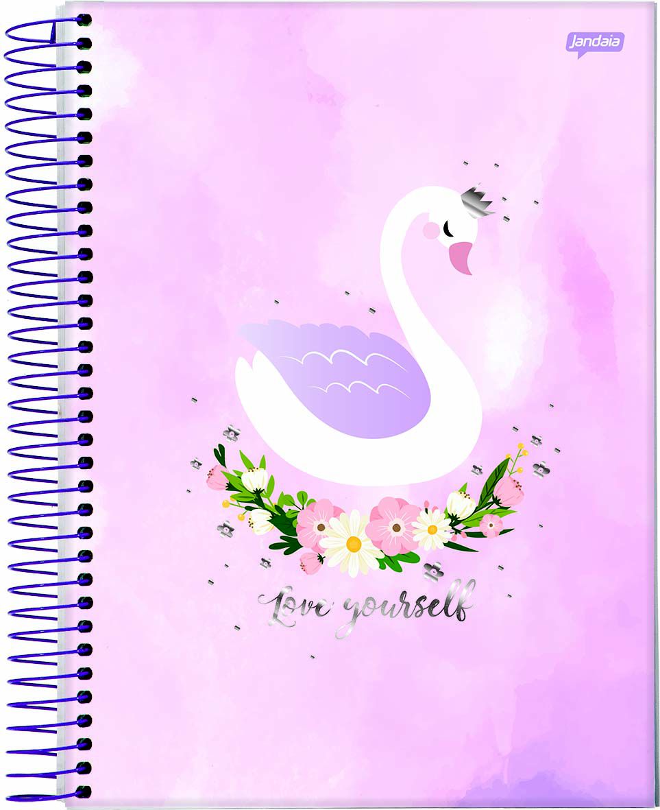 Caderno Espiral Universitário Capa Dura Sortida Jandaia Dream 20cm X 27cm 10 Matérias 160 Folhas 2128