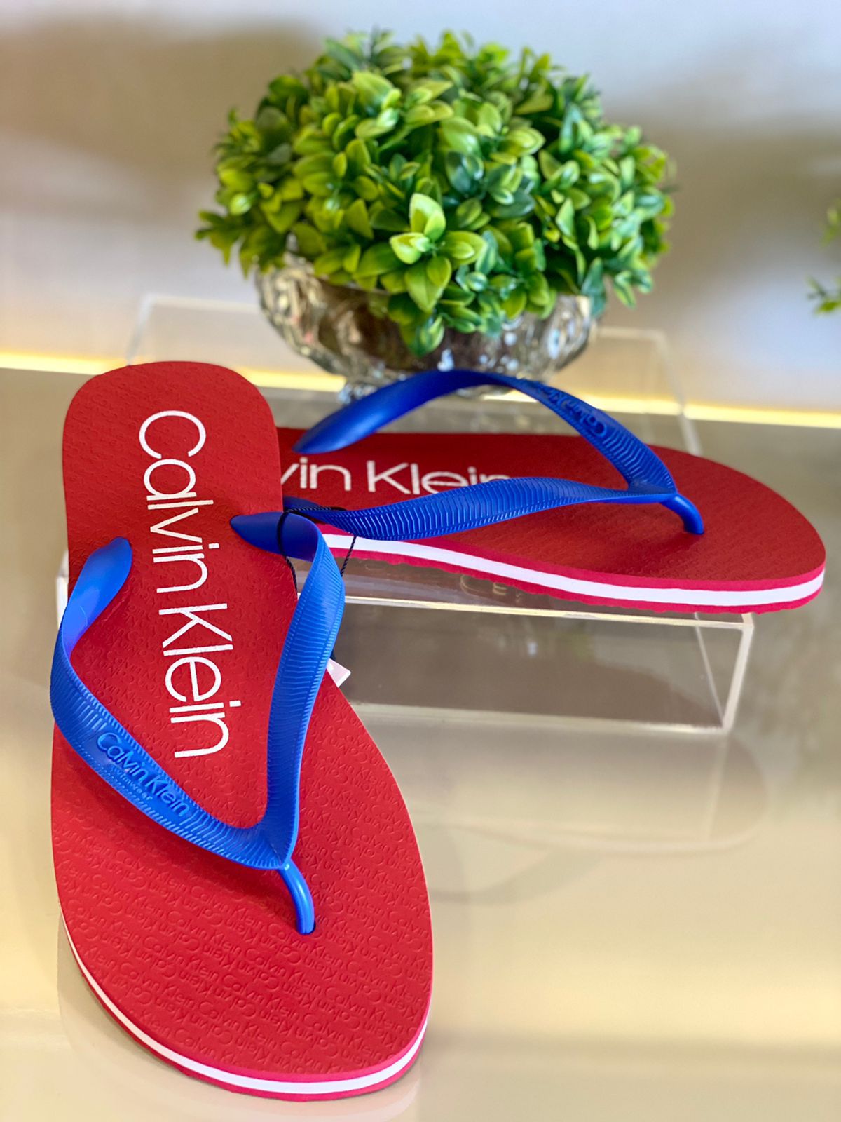CALVIN KLEIN JEANS CHINELO RED BLUE - Conceito Rouparia