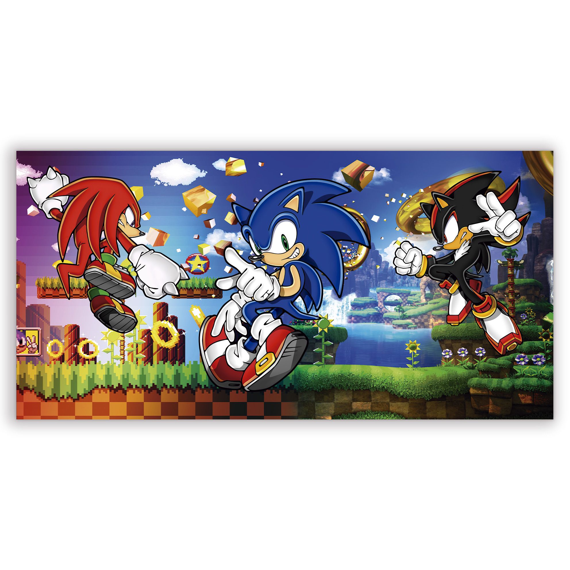 Painel Retangular Sonic Anel, Loja