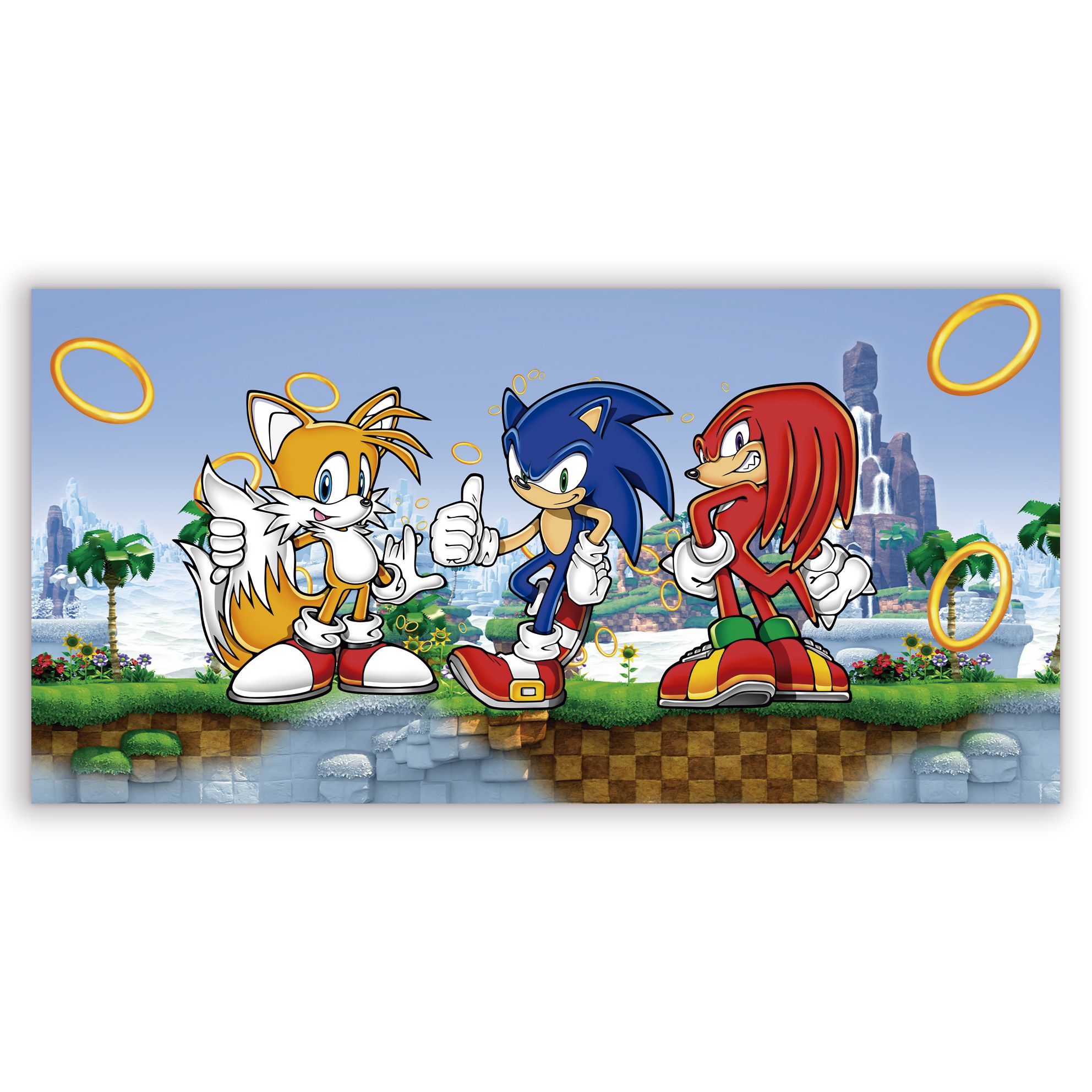 Painel Retangular Sonic Anel, Loja