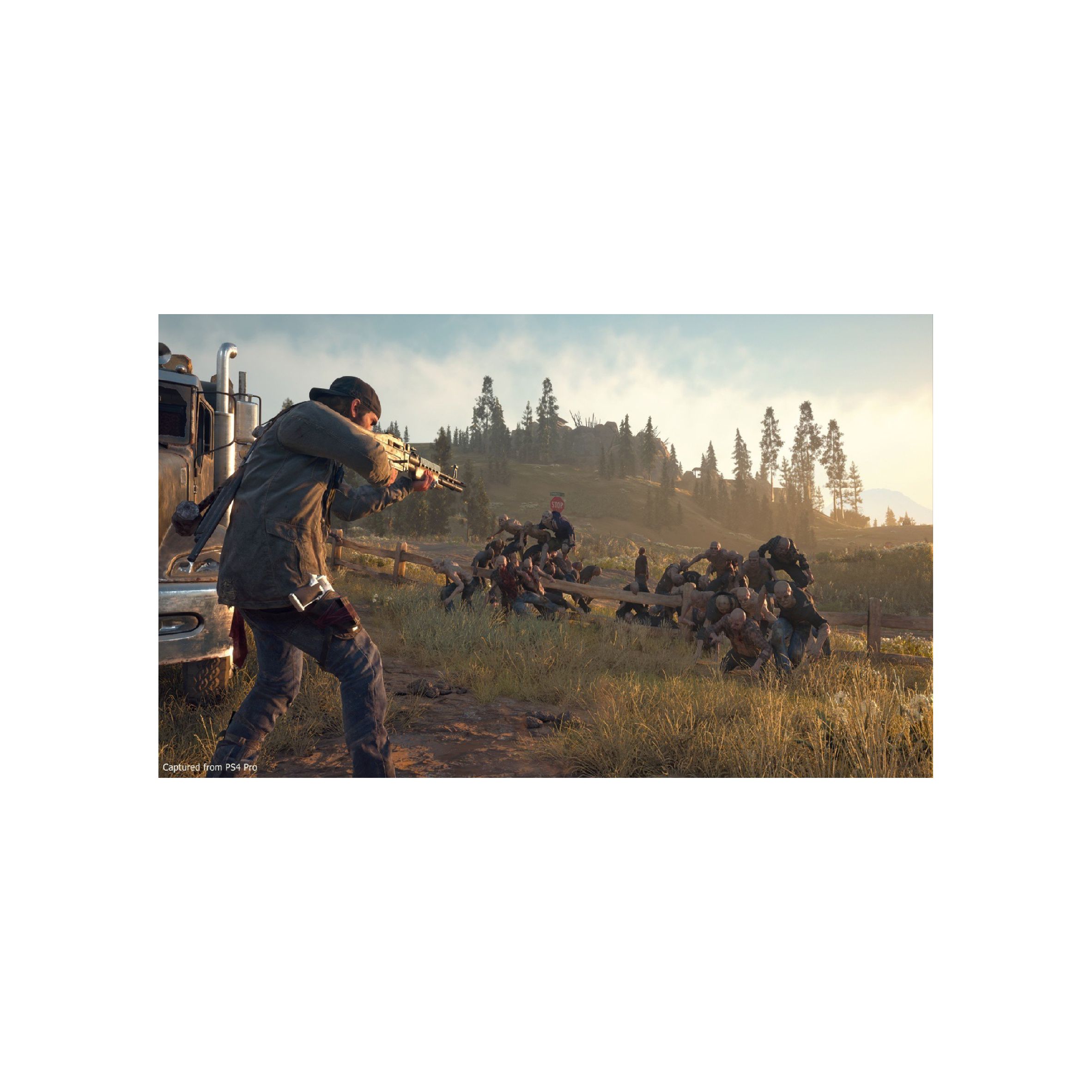 Jeu Vidéo Days Gone Pour PlayStation 4 (PS4) - Version Boîte - Très Bon état - Complet