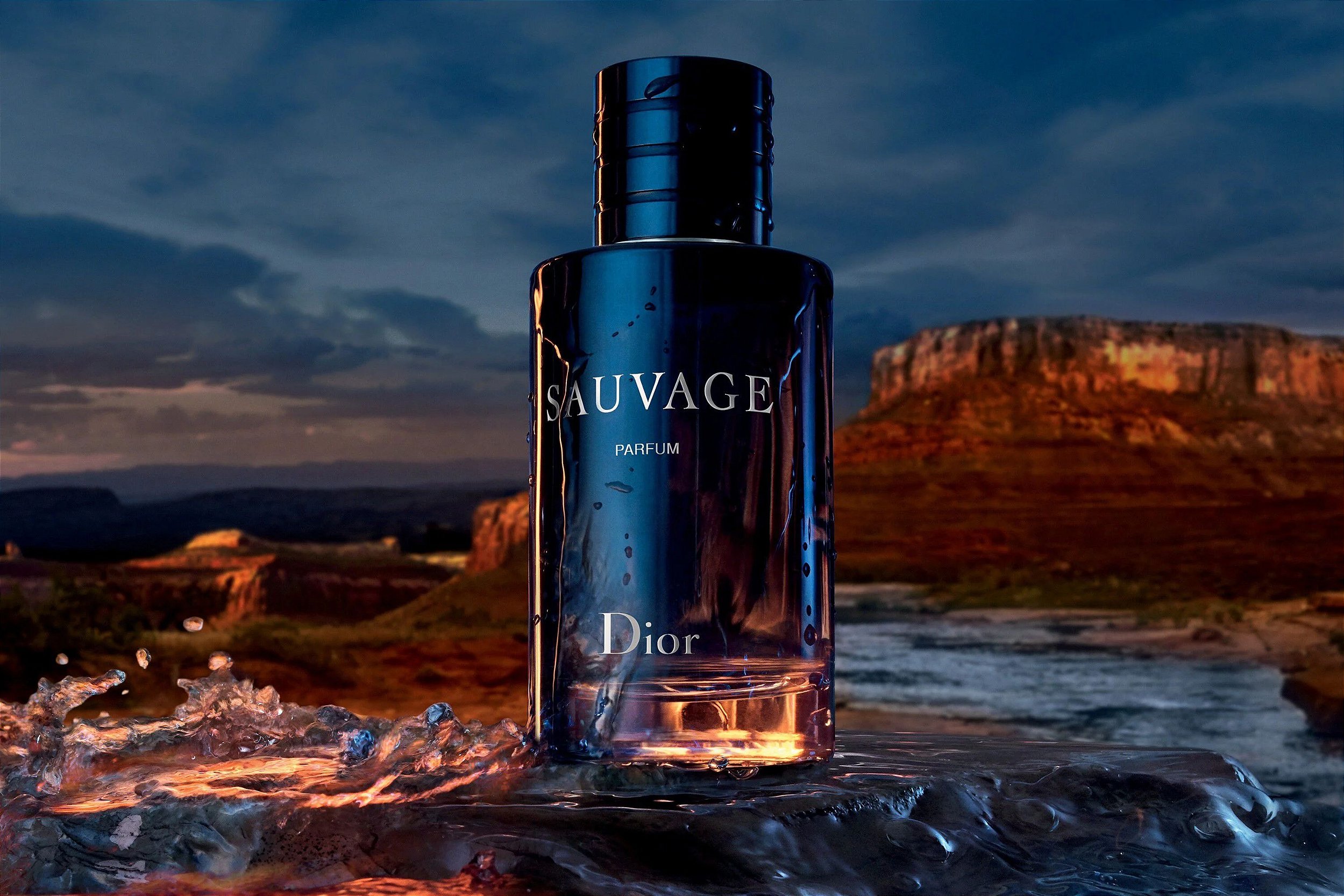 色々な EAU MASCULINO SAUVAGE DIOR DE Perfumes Outlet Beaty - PARFUM Perfume (Unisex)