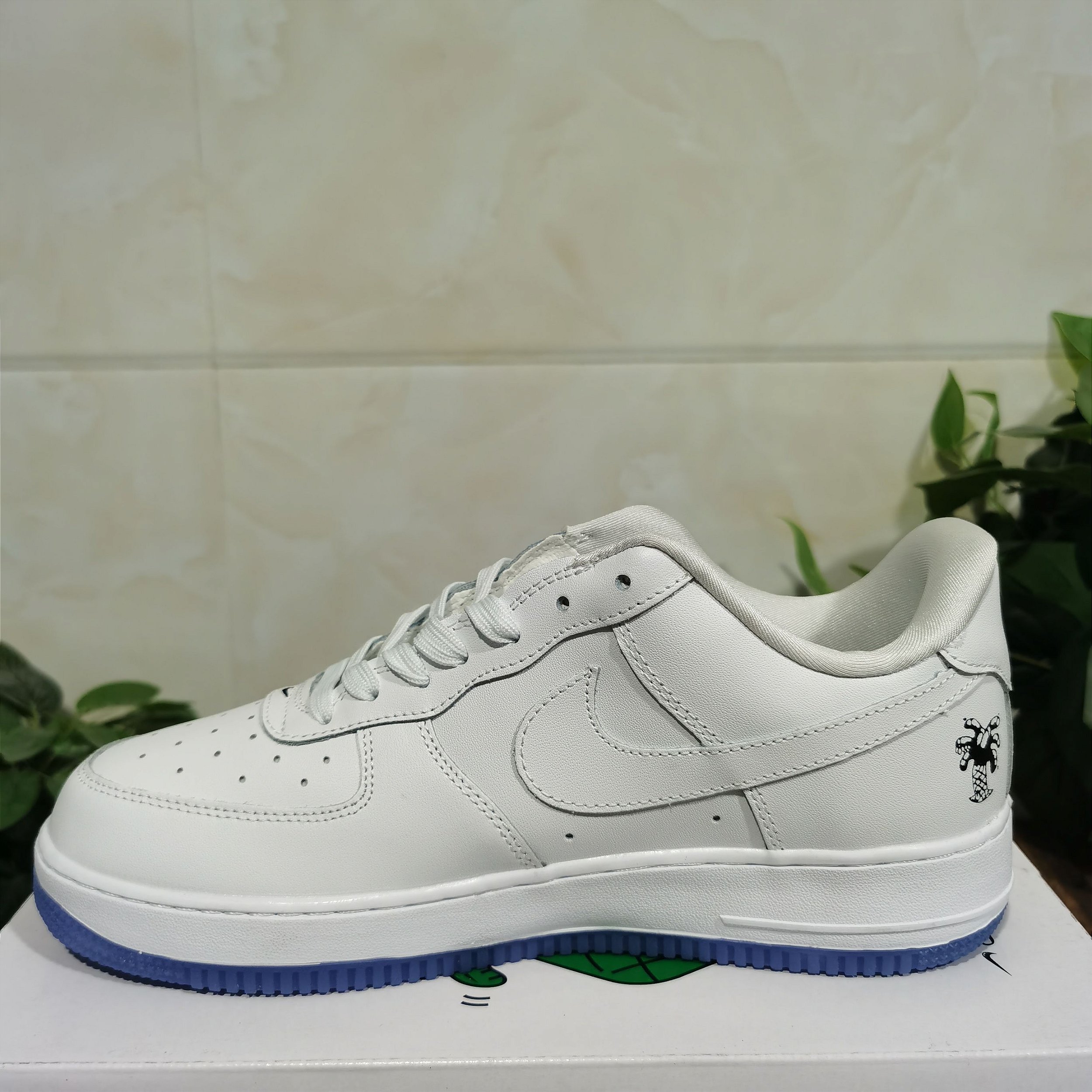 earth day air force 1 2019