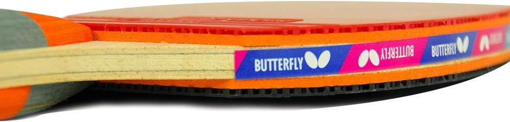 Raquete Tênis de Mesa Butterfly Addoy Classico - A3000 - Mercadão Dos ...