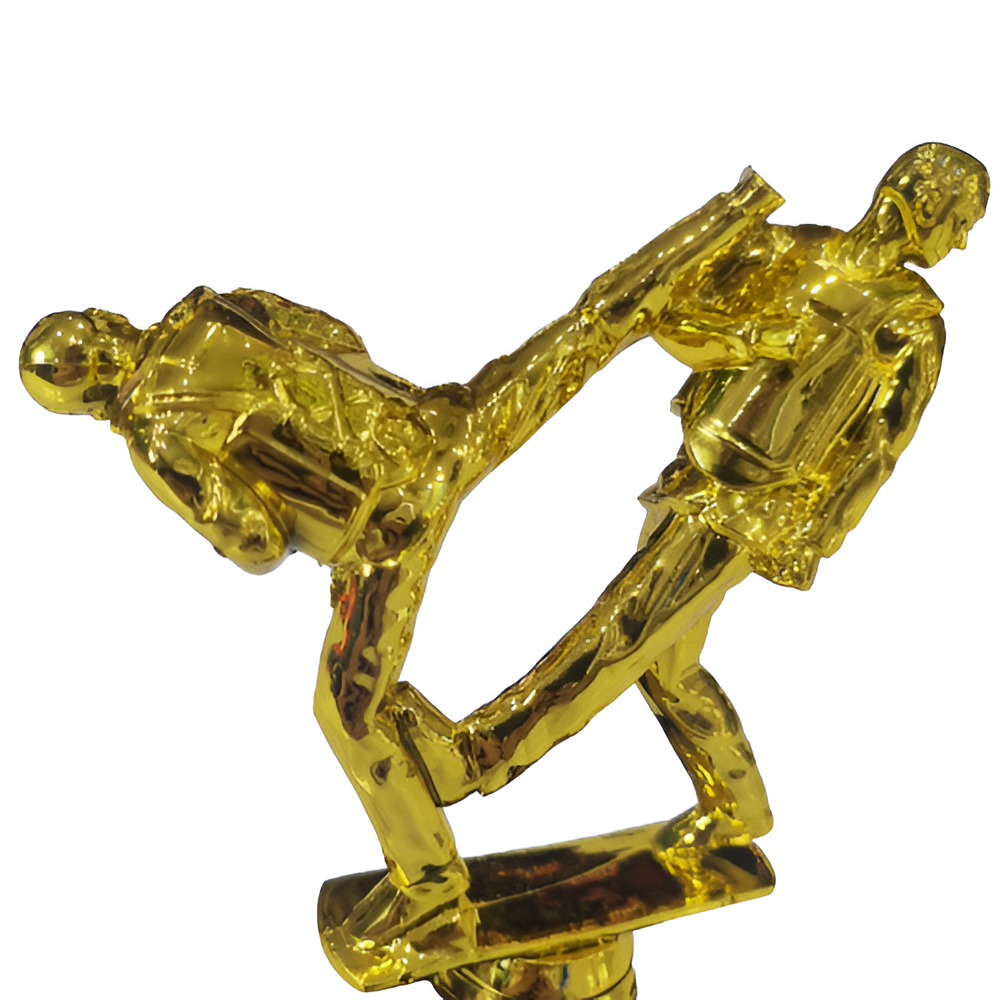 Troféu de Taekwondo 19cm Base 1º Quadrada AX - 833 - Mercadão Dos ...