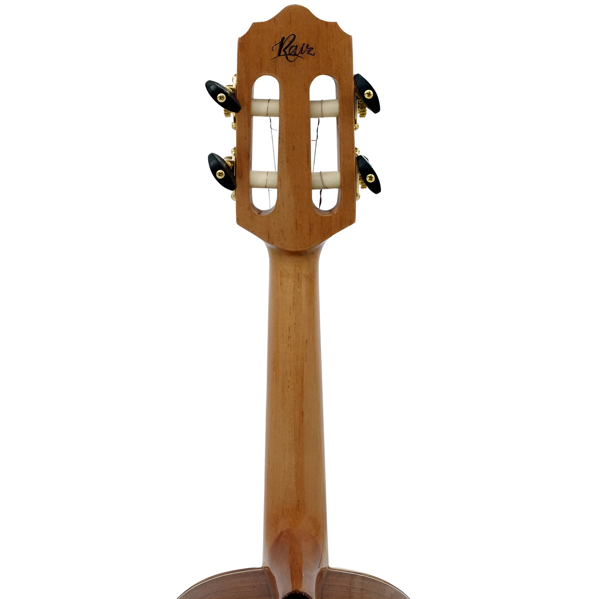 Cavaco Giannini Fishman CS8 | Instrumentos Cordas | American