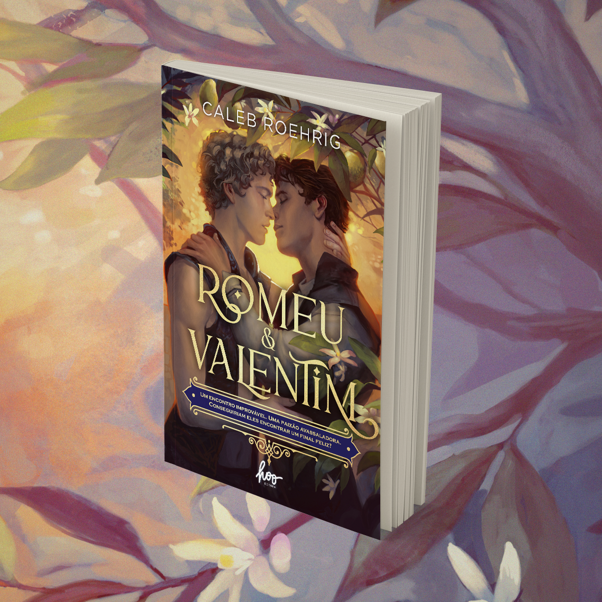 Romeu & Valentim - EDIÇÃO LIMITADA COM BRINDE - Universo dos Livros