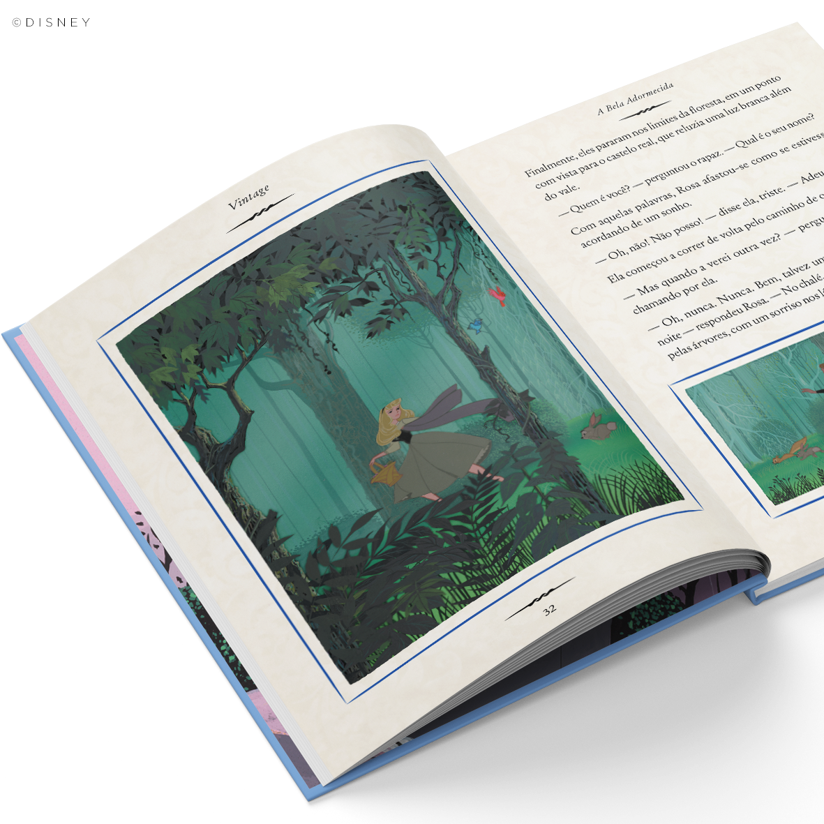 A bela adormecida - Universo dos Livros