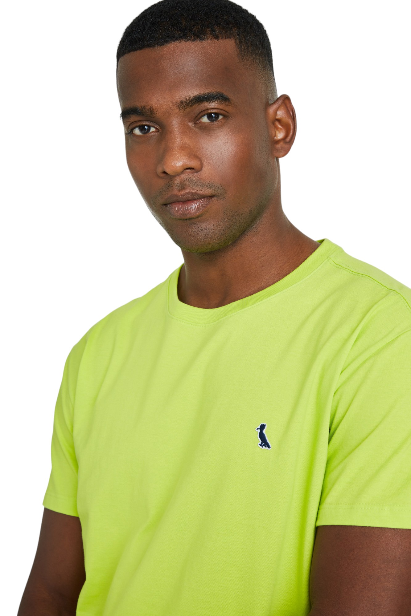 Camiseta Reserva Masculina Patch Woodpecker Verde - Gareth