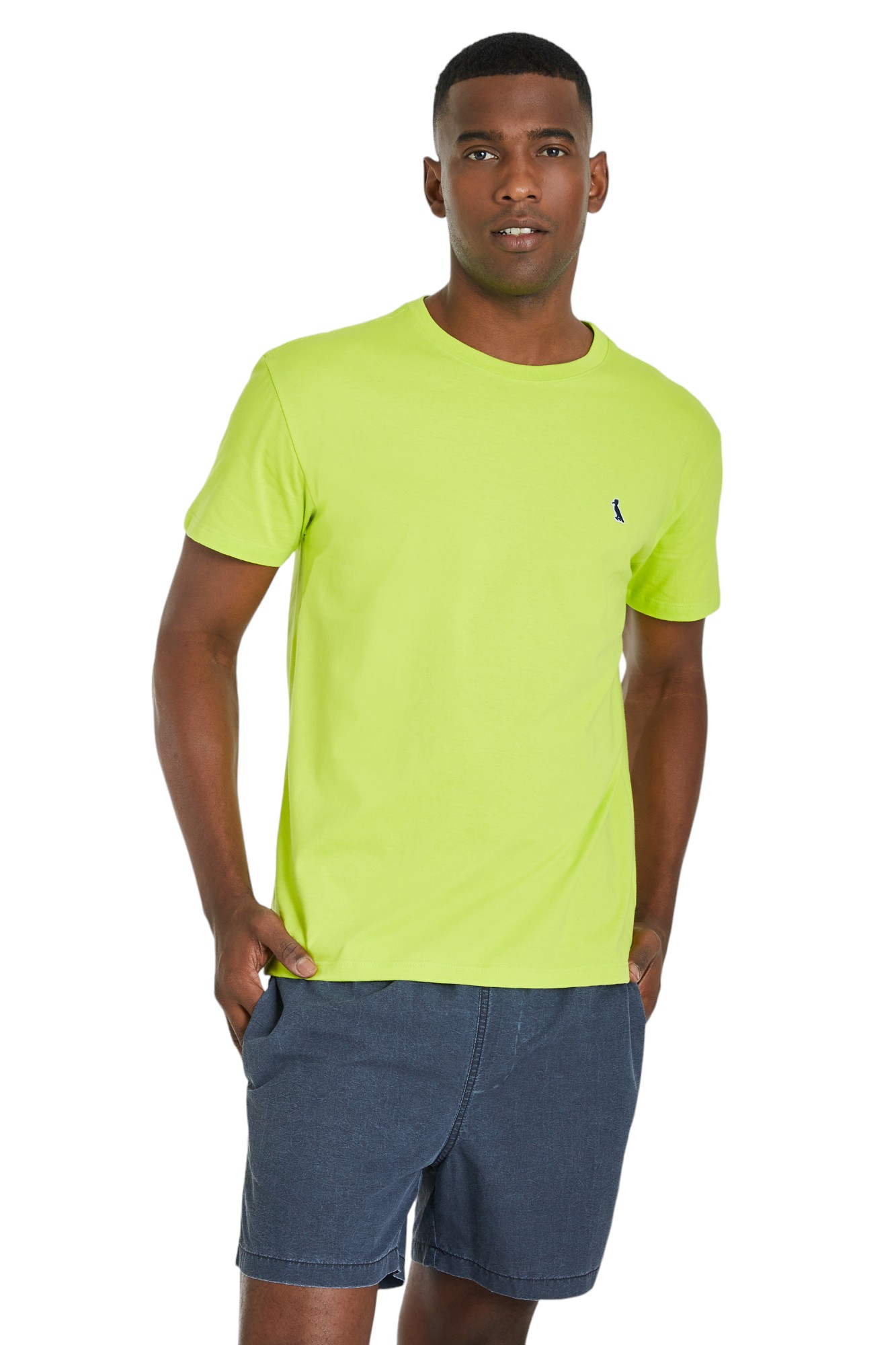 Camiseta Reserva Masculina Patch Woodpecker Verde - Gareth