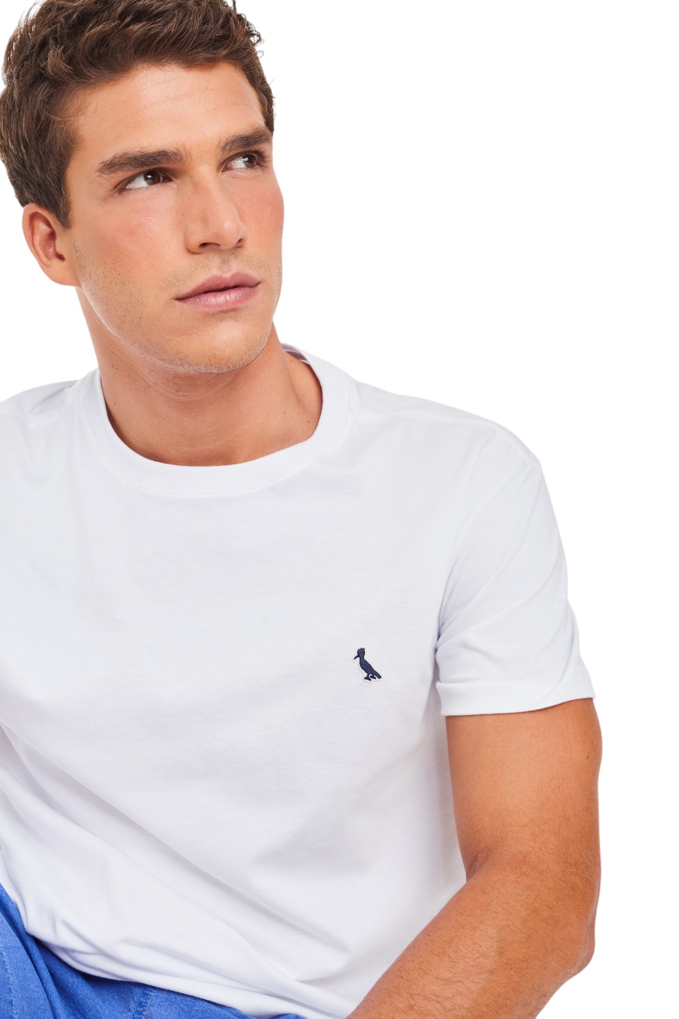 Camiseta Reserva Masculina Patch Woodpecker Branca - Gareth
