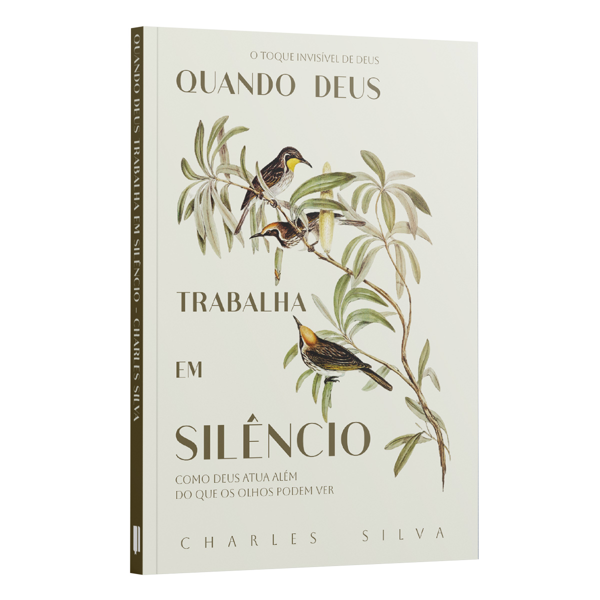 Quando Deus Trabalha em Silêncio - Como Deus Atua Além do que os Olhos ...