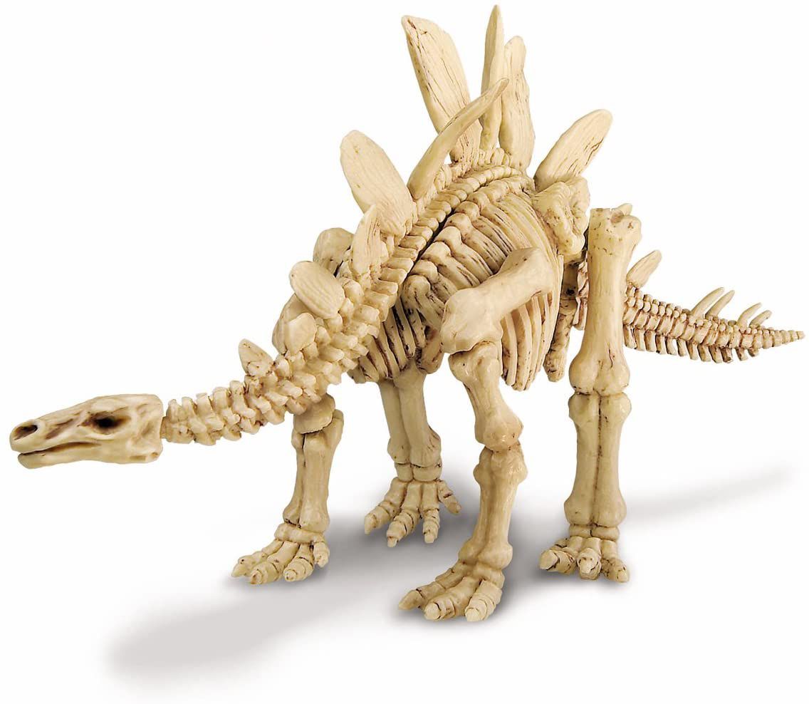 Kit de Escavação de Dinossauro Velociraptor - Educativos Brinquedos