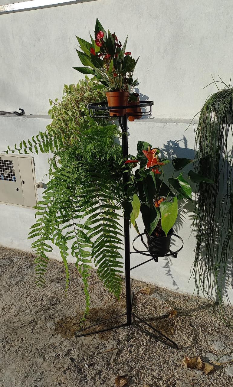 Suporte de Chão para Samambaia com 3 lugares - Meu Kokedama