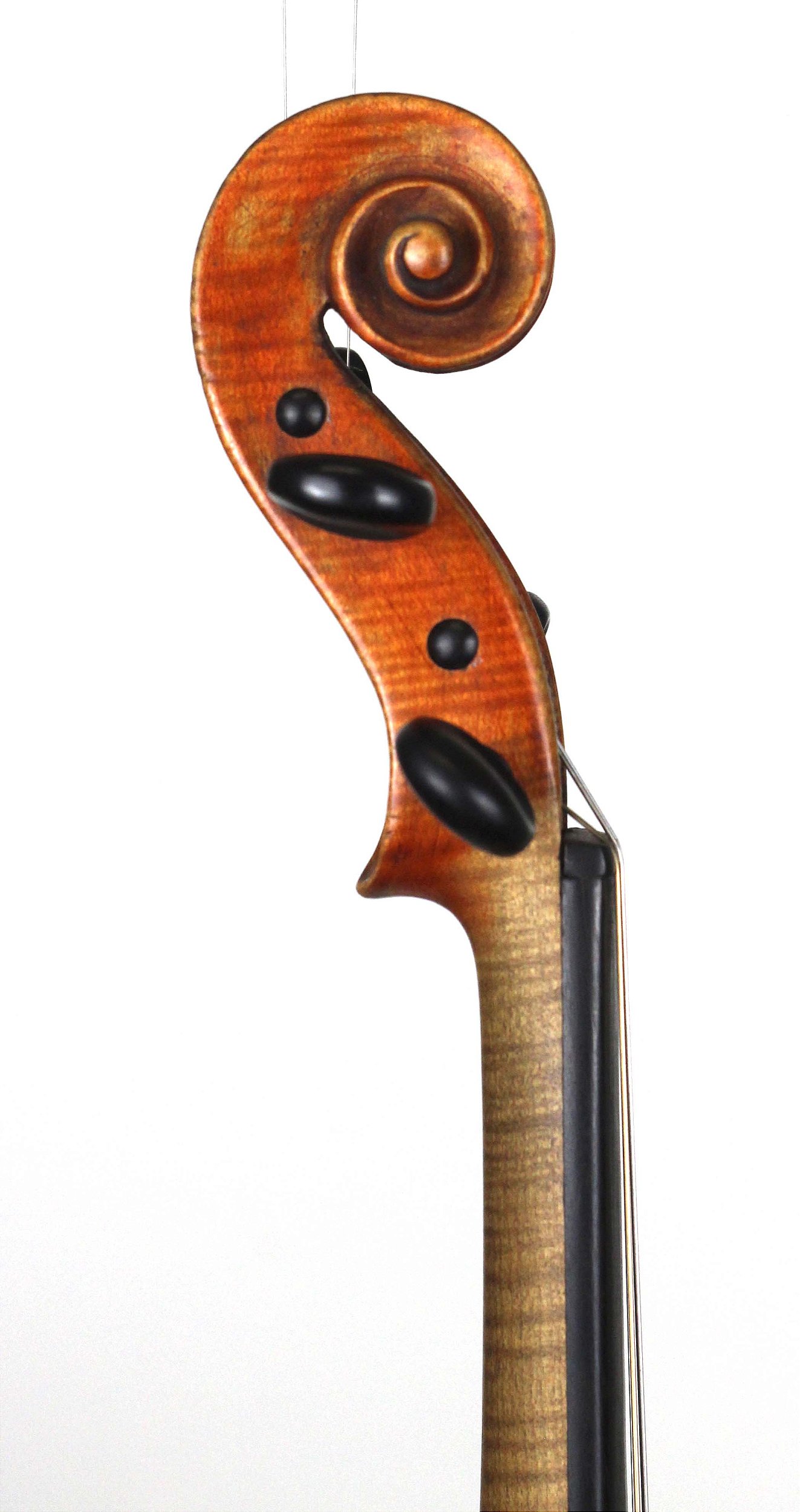 Violino Copia Jacobus Stainer 1674 – 4/4 – Vernice Anticata – Livello Professionale – Dubo - 2