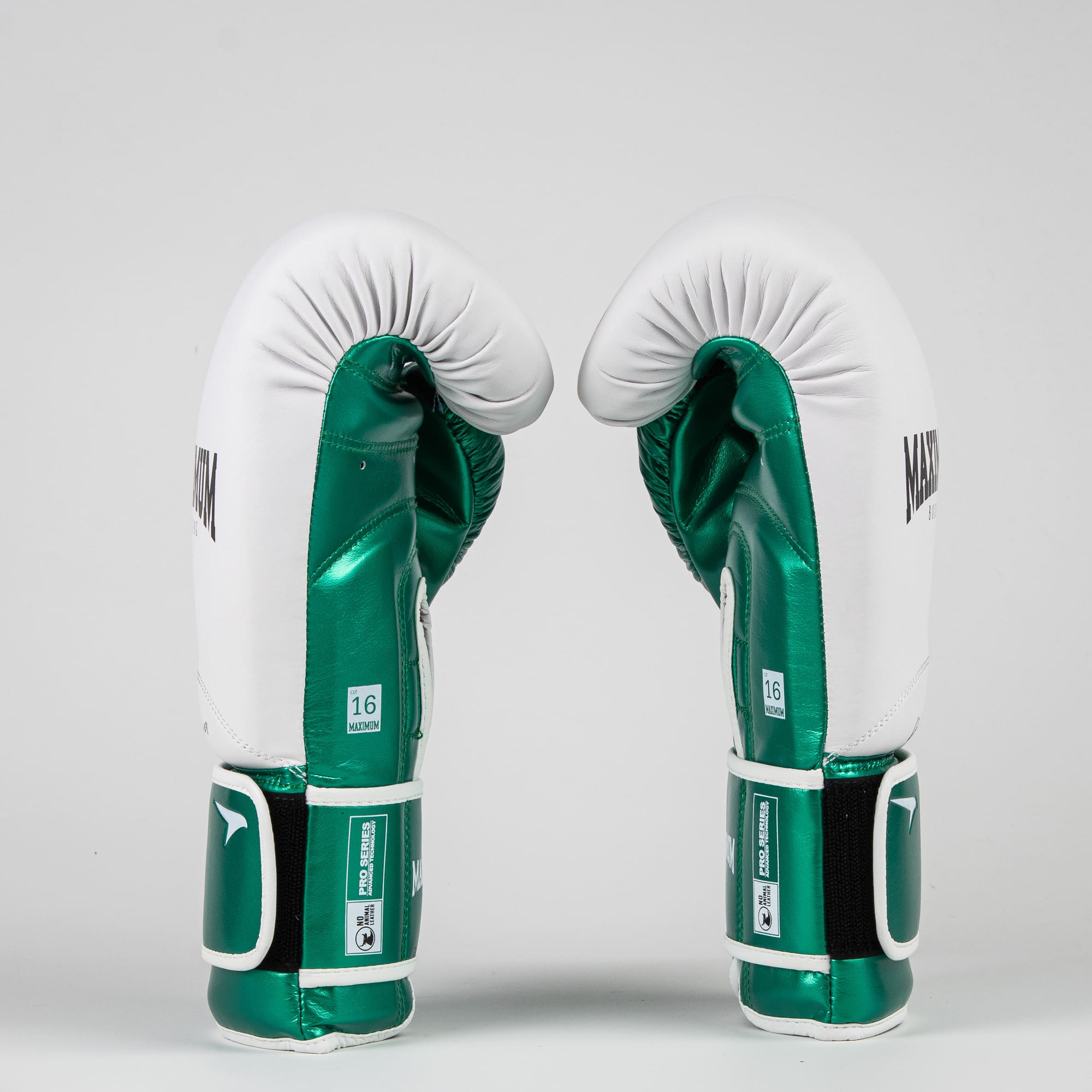 MuscleForge Coudières pour MMA, Muay Thai, Kickboxing et BJJ Taille L - Protections de coude avec mousse EVA anatomique, tissu élastique respirant et ajustement stable sans sangles, paire de manches MuscleForge Coudières pour MMA, Muay Thai, Kickboxing et BJJ Taille L - Protections de coude avec mousse EVA anatomique, tissu élastique respirant et ajustement stable sans sangles, paire de manches